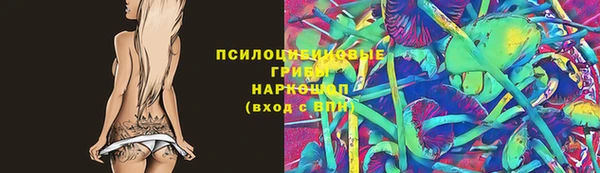 гидра Новокубанск