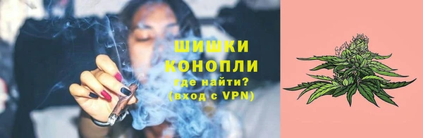 гидра Новокубанск