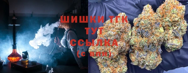 МДМА Новозыбков