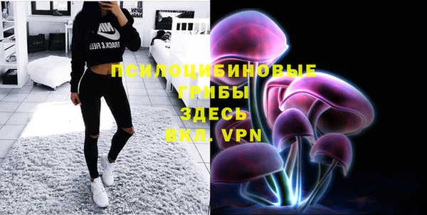 МДМА Новозыбков