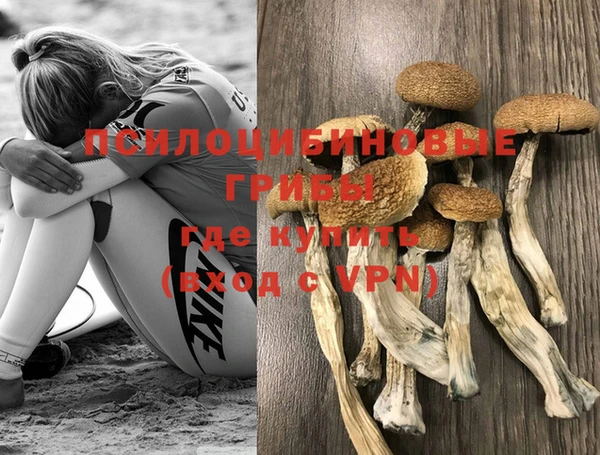 гидра Новокубанск