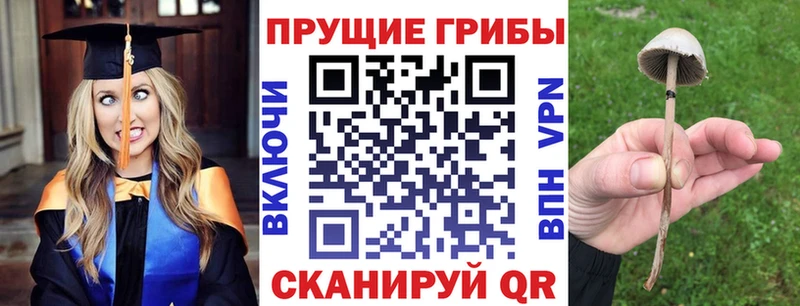 продажа наркотиков  Саров  Галлюциногенные грибы прущие грибы 